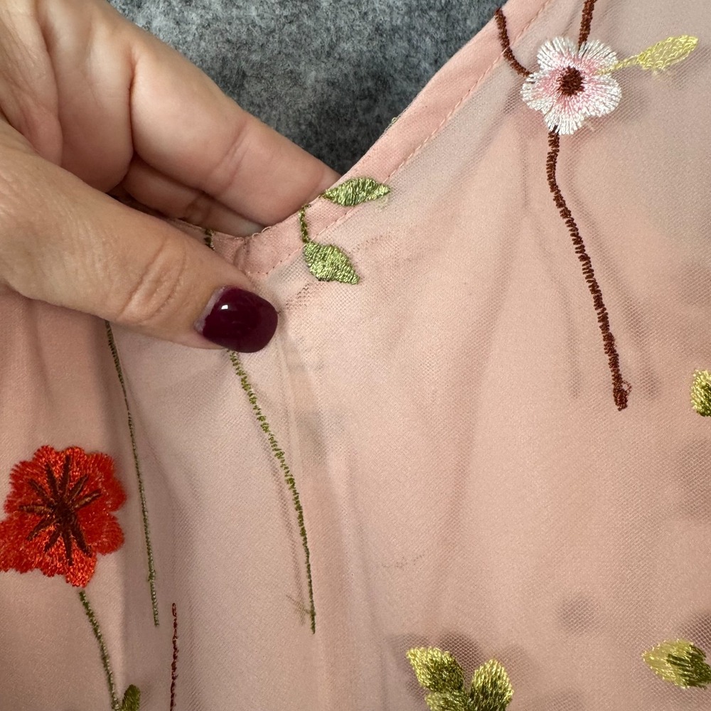 Beige ECI Fairy Floral Embroider Garden Sheer Slip Dress Size‎ 12 Pink Butterfly - Picture 6 of 13